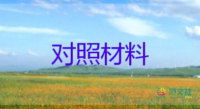 党支部班子生活会对照材料推荐6篇