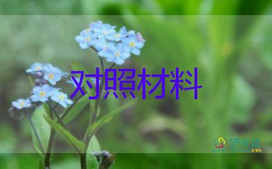 组织会个人对照检查材料5篇