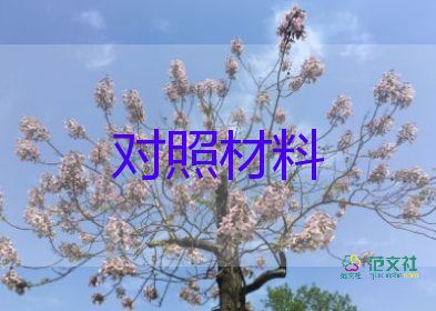 个人纪律检查对照材料8篇