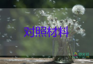 教育整顿专题生活会对照材料5篇