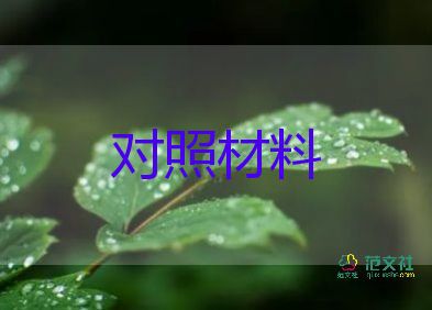 民党支部委员对照材料5篇