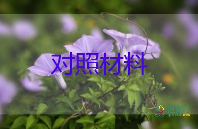 个人对照庸的检查材料8篇