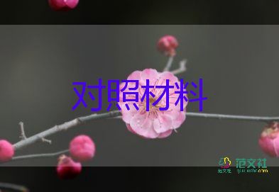 2023民主个人对照材料参考6篇