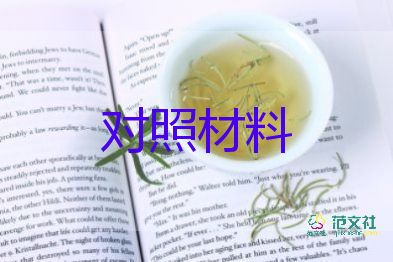 作风整顿对照材料7篇