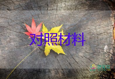 个人三对照材料优质5篇