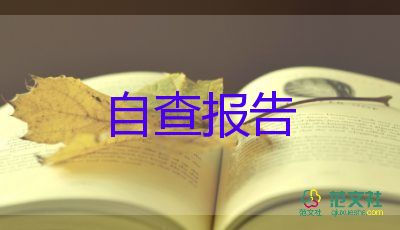 乡镇以案说纪自查报告5篇