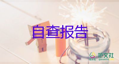 2023年董事会工作报告精选5篇