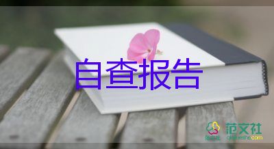  学生自查报告和个人整改措施5篇