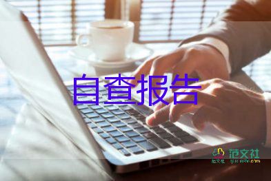 安保个人工作总结报告5篇