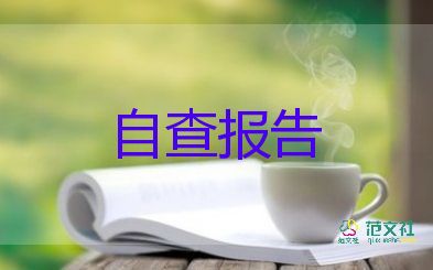 网络安全设施自查报告6篇