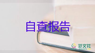 自评个人工作报告6篇