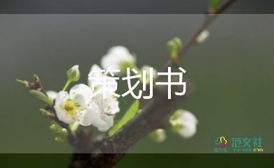 元旦节活动策划7篇