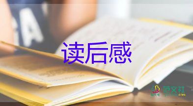 叶问观后感6篇