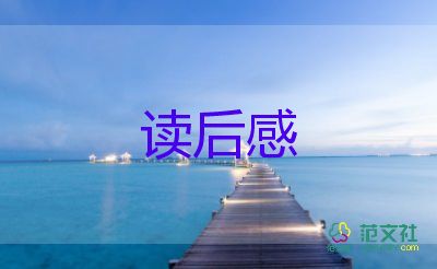 书的读后感800字优质7篇