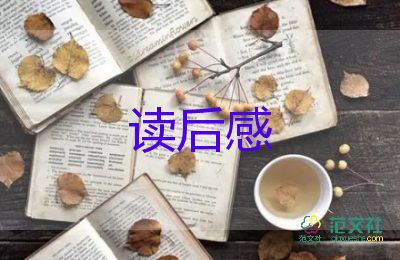 热门精选《亲爱的安德烈》读后感范文5篇