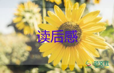 罚与罪读后感800字8篇