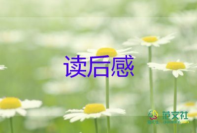 羊与狼的故事读后感精选6篇