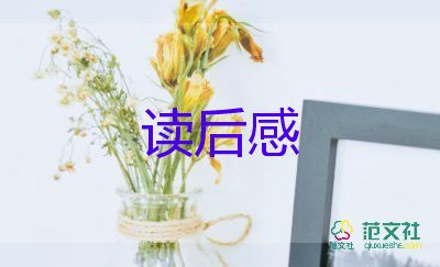 惊弓的鸟读后感6篇