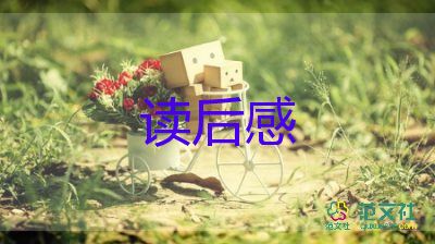 嗯红楼梦读后感5篇