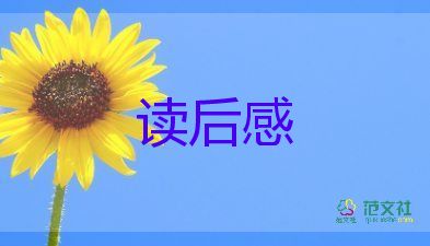 小说飘的读后感500字6篇