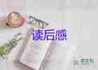 春晚观后感2023年作文7篇