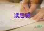 洞读后感200字精选7篇