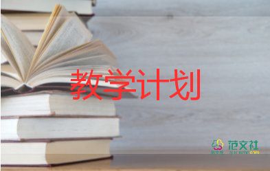 2023学年教师教学计划7篇