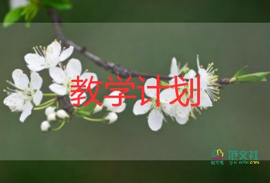 全小学美术教学计划范文5篇