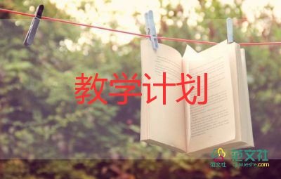 教师语文教学计划小学6篇