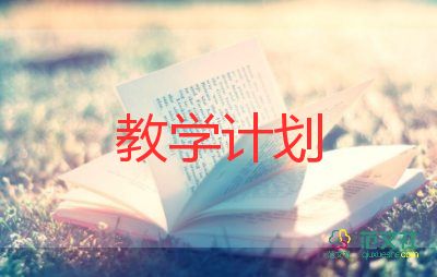 教师的教学计划8篇