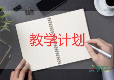 初中物理教学反思8篇