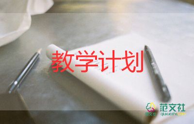 教师教学优秀个人总结8篇