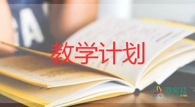 中班个人教学工作总结6篇