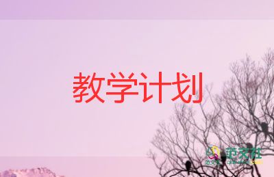 dtnl教学反思教学反思5篇