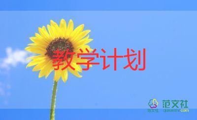 教师数学教学计划6篇