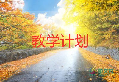 小学美术教师教学计划5篇