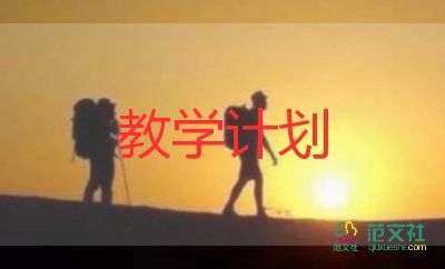 跨学科教学教学反思6篇