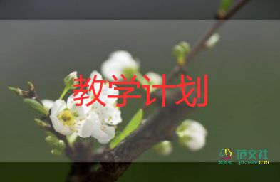 小学教学教师工作计划6篇