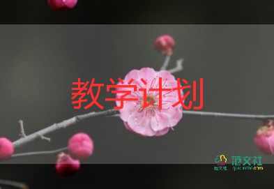 初中物理实验教学总结8篇