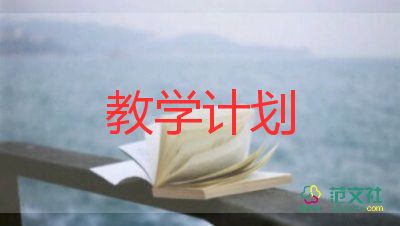 中班个人个人教学计划5篇