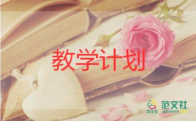 初中语文教学计划指导思想4篇