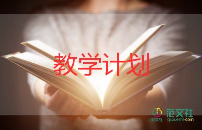 小学教育的教学计划5篇