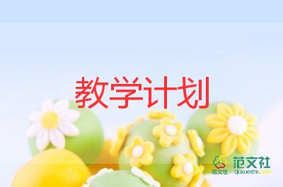 小大班教学计划8篇