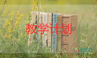 教师日常教学计划6篇