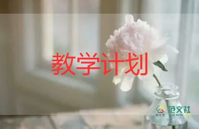 化学教师的教学总结6篇