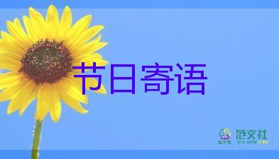 县我们的节日活动总结7篇