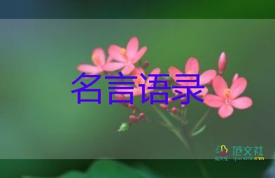 李克强：2021年国内生产总值达114万亿元，增长8.1%，去年新增减税降费超过1万亿元