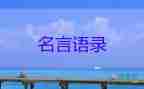 冬奥会最新消息：任子威谈犯规