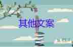 疫情防控工作总结