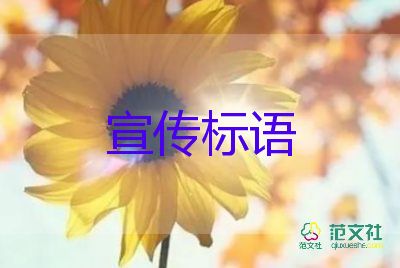 国家卫健委：上海社会面新冠疫情风险正逐步降低，社区疫情防控工作总结2篇